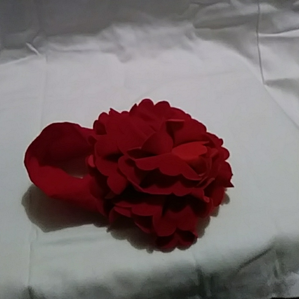 Baby's first v-day